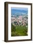 Sant Ambrogio Di Valpolicella, Verona Province, Veneto, Italy, Europe-Nico-Framed Photographic Print