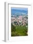 Sant Ambrogio Di Valpolicella, Verona Province, Veneto, Italy, Europe-Nico-Framed Photographic Print