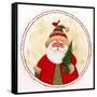 Santa 2-Beverly Johnston-Framed Stretched Canvas