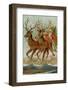 Santa and His Reindeer Flying Through the Sky with a Sleigh Full of Christmas Goodies-null-Framed Photographic Print