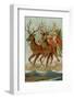 Santa and His Reindeer Flying Through the Sky with a Sleigh Full of Christmas Goodies-null-Framed Photographic Print