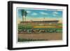 Santa Anita Park Horse Races - Arcadia, CA-Lantern Press-Framed Art Print