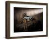 Santa Barbara Bit n Spur-Barry Hart-Framed Art Print