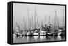 Santa Barbara Boats Mono-John Gusky-Framed Stretched Canvas