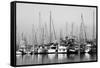 Santa Barbara Boats Mono-John Gusky-Framed Stretched Canvas