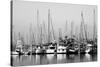 Santa Barbara Boats Mono-John Gusky-Stretched Canvas