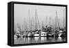 Santa Barbara Boats Mono-John Gusky-Framed Stretched Canvas