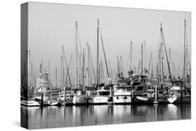 Santa Barbara Boats Mono-John Gusky-Stretched Canvas