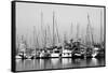Santa Barbara Boats Mono-John Gusky-Framed Stretched Canvas
