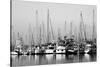 Santa Barbara Boats Mono-John Gusky-Stretched Canvas