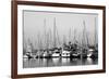 Santa Barbara Boats Mono-John Gusky-Framed Photographic Print