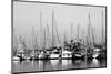 Santa Barbara Boats Mono-John Gusky-Mounted Premium Photographic Print