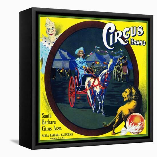 Santa Barbara, California, Circus Brand Citrus Label-Lantern Press-Framed Stretched Canvas