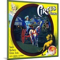 Santa Barbara, California, Circus Brand Citrus Label-Lantern Press-Mounted Art Print