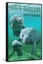 Santa Barbara California - Manatees - Manatees-Lantern Press-Framed Stretched Canvas