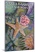 Santa Barbara, California - Tidepools-Lantern Press-Mounted Art Print