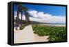 Santa Barbara Coastline, California-George Oze-Framed Stretched Canvas