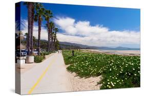 Santa Barbara Coastline, California-George Oze-Stretched Canvas