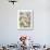 Santa Barbara Daisies-Don Paulson-Giclee Print displayed on a wall