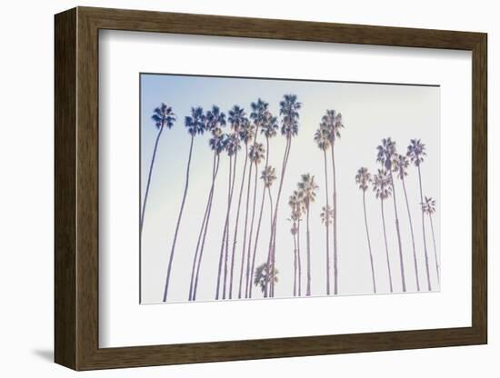 Santa Barbara Palms-Elena Chukhlebova-Framed Photographic Print