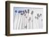 Santa Barbara Palms-Elena Chukhlebova-Framed Photographic Print