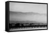 Santa Barbara Pier Mono-John Gusky-Framed Stretched Canvas