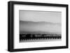 Santa Barbara Pier Mono-John Gusky-Framed Photographic Print