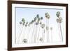 Santa Barbara Vibes-Elena Chukhlebova-Framed Photographic Print