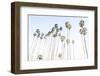 Santa Barbara Vibes-Elena Chukhlebova-Framed Photographic Print