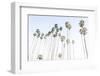 Santa Barbara Vibes-Elena Chukhlebova-Framed Photographic Print