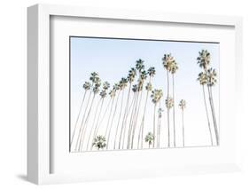 Santa Barbara Vibes-Elena Chukhlebova-Framed Photographic Print