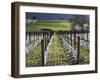 Santa Barbara Wine Country, Santa Ynez, Southern California, California, Usa-Walter Bibikow-Framed Photographic Print