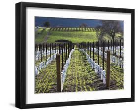 Santa Barbara Wine Country, Santa Ynez, Southern California, California, Usa-Walter Bibikow-Framed Photographic Print