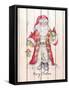 Santa & Cardinal I-Andi Metz-Framed Stretched Canvas