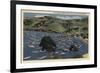 Santa Catalina, California - View of the Isthmus Harbor-Lantern Press-Framed Premium Giclee Print