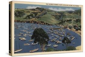 Santa Catalina, California - View of the Isthmus Harbor-Lantern Press-Stretched Canvas
