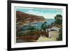 Santa Catalina Island, California - Avalon Bay View from Wrigley's Gardens-Lantern Press-Framed Art Print