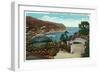 Santa Catalina Island, California - Avalon Bay View from Wrigley's Gardens-Lantern Press-Framed Art Print