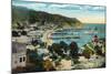 Santa Catalina Island, California - Panoramic View of Avalon and Bay-Lantern Press-Mounted Art Print