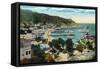 Santa Catalina Island, California - Panoramic View of Avalon and Bay-Lantern Press-Framed Stretched Canvas