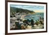 Santa Catalina Island, California - Panoramic View of Avalon and Bay-Lantern Press-Framed Premium Giclee Print