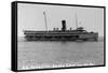 Santa Catalina Island, California - SS Catalina Ship-Lantern Press-Framed Stretched Canvas