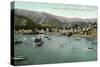 Santa Catalina Island, California - View of Avalon Bay from Sugar Loaf-Lantern Press-Stretched Canvas
