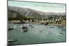 Santa Catalina Island, California - View of Avalon Bay from Sugar Loaf-Lantern Press-Mounted Art Print