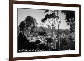 Santa Catalina Island, California - View of Avalon-Lantern Press-Framed Premium Giclee Print