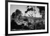 Santa Catalina Island, California - View of Avalon-Lantern Press-Framed Premium Giclee Print