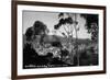 Santa Catalina Island, California - View of Avalon-Lantern Press-Framed Art Print