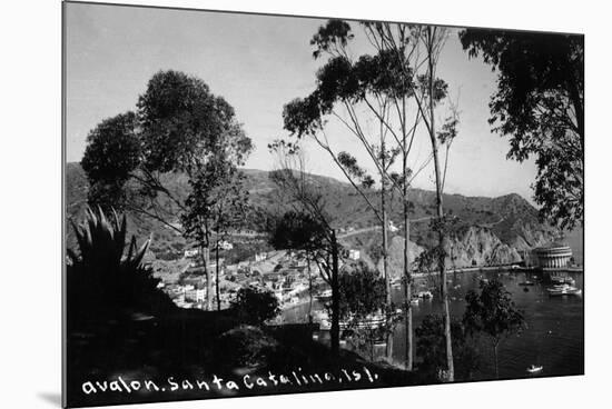 Santa Catalina Island, California - View of Avalon-Lantern Press-Mounted Art Print