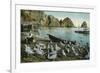 Santa Catalina Island, California - View of Sea Gulls at Avalon-Lantern Press-Framed Premium Giclee Print