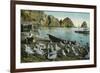 Santa Catalina Island, California - View of Sea Gulls at Avalon-Lantern Press-Framed Premium Giclee Print